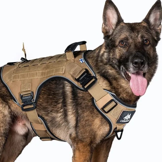 Cerberos Tactical Hundsele Beige
