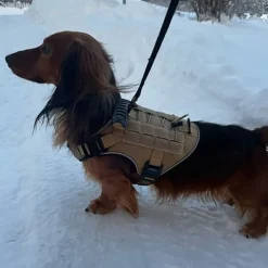 Cerberos Tactical Hundsele Beige
