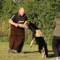 Cerberos Tactical Hundsele Beige