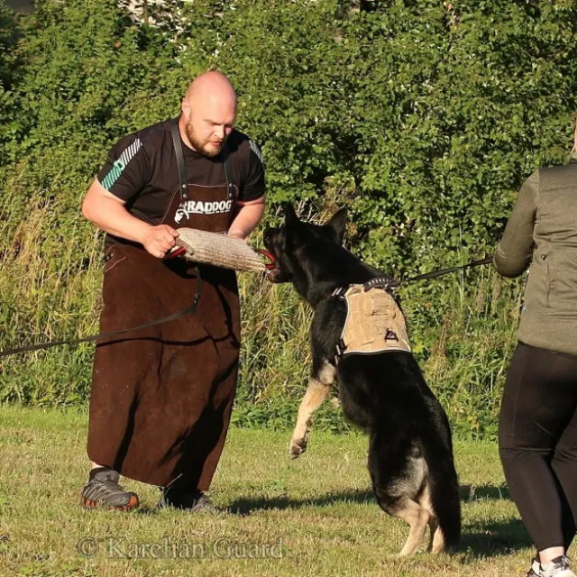 Cerberos Tactical Hundsele Beige