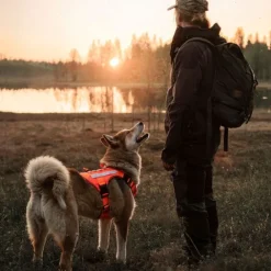 Cerberos Tactical Hundsele Orange
