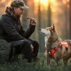 Cerberos Tactical Hundsele Orange