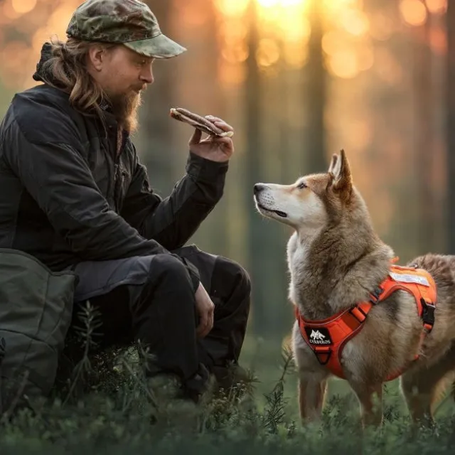 Cerberos Tactical Hundsele Orange