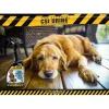 CSI Urine Dog Spray 500 ml