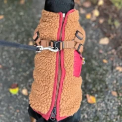51 Degrees North Jules Kombinerad Hundjacka och Hundsele Brun