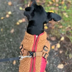 51 Degrees North Jules Kombinerad Hundjacka och Hundsele Brun