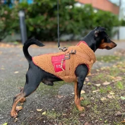 51 Degrees North Jules Kombinerad Hundjacka och Hundsele Brun