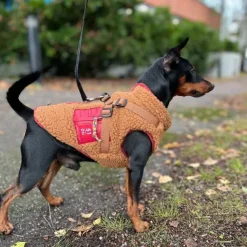 51 Degrees North Jules Kombinerad Hundjacka och Hundsele Brun