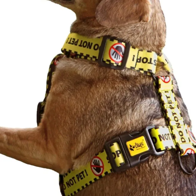 Dingo Gear Hundsele Do Not Pet