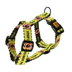 Dingo Gear Hundsele Do Not Pet