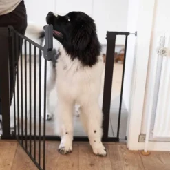 DogSpace Förlängning till Lassie Hundgrind Svart 7 cm 2-pack