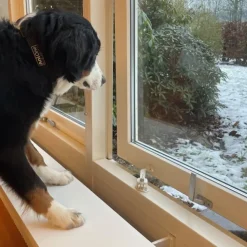 DogSpace Startkit för att Valpsäkra hemmet