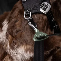 Feel Active Bilbälte till Hund Fäste till Säkerhetsbälte