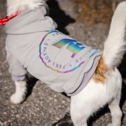 Feel Active Bromma Hundtröja med Luva Grå