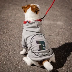 Feel Active Bromma Hundtröja med Luva Grå