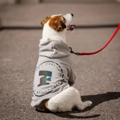 Feel Active Bromma Hundtröja med Luva Grå