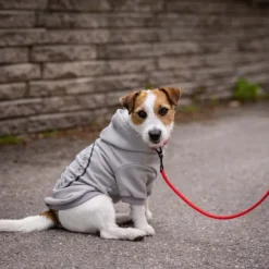 Feel Active Bromma Hundtröja med Luva Grå