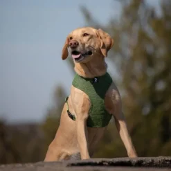 Feel Active Eco Soft Hundsele Grön