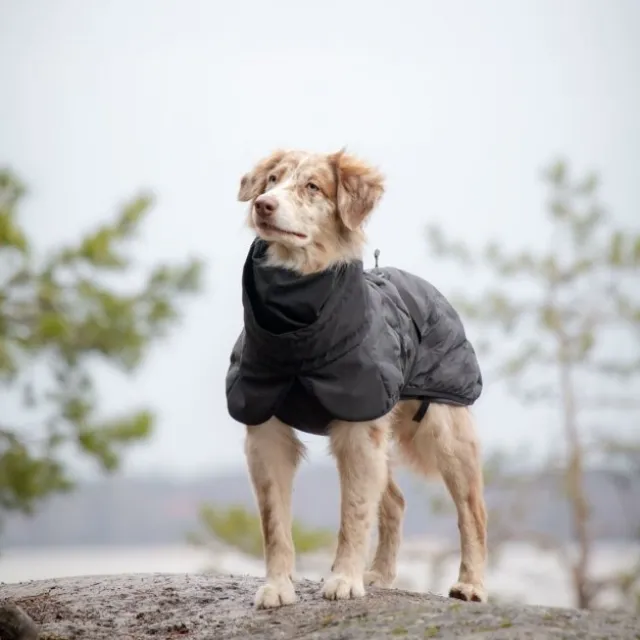 Feel Active Haga Parka Svart
