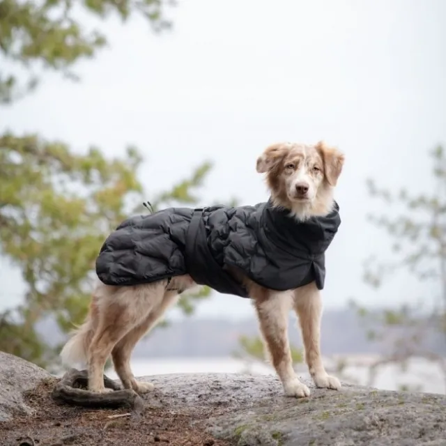 Feel Active Haga Parka Svart