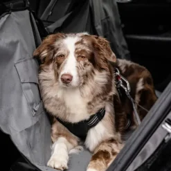 Feel Active Heavy Duty Bilbälte till Hund