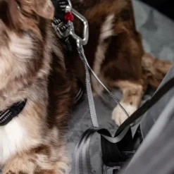 Feel Active Heavy Duty Bilbälte till Hund