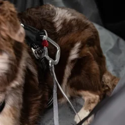 Feel Active Heavy Duty Bilbälte till Hund