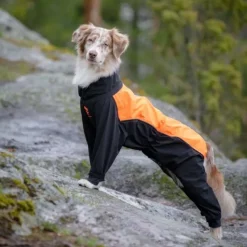 Feel Active Helsingborg Hundoverall Reflex Svart/Orange