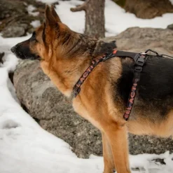Feel Active Outdoor Hundsele med Ficka Svart