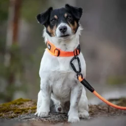 Feel Active Reflective Halsband Orange