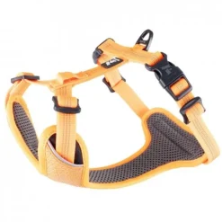 Feel Active Reflective Sele Orange