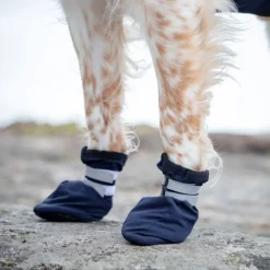 Feel Active Snow Hundstrumpor Blå 2-pack