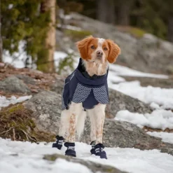 Feel Active Snow Hundstrumpor Blå 2-pack