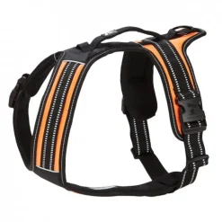 Feel Active Sport Sele Orange