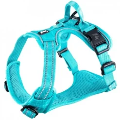 Feel Active Training Hundsele Turkos
