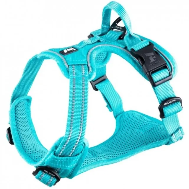 Feel Active Training Hundsele Turkos