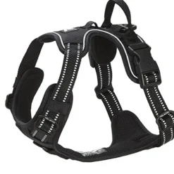 Feel Active Training Hundsele Svart