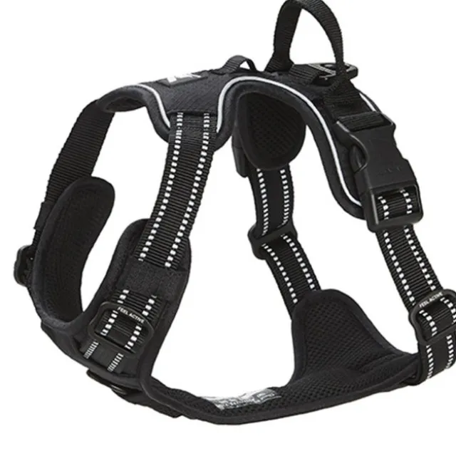 Feel Active Training Hundsele Svart