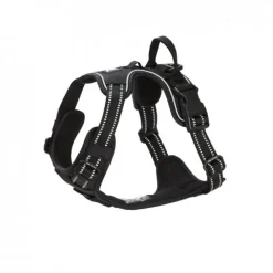Feel Active Training Hundsele Svart