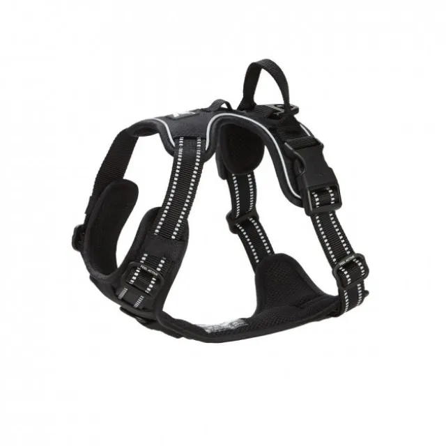 Feel Active Training Hundsele Svart