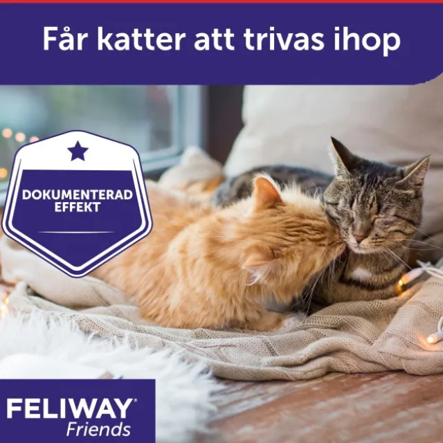 Feliway Friends Refill 48 ml