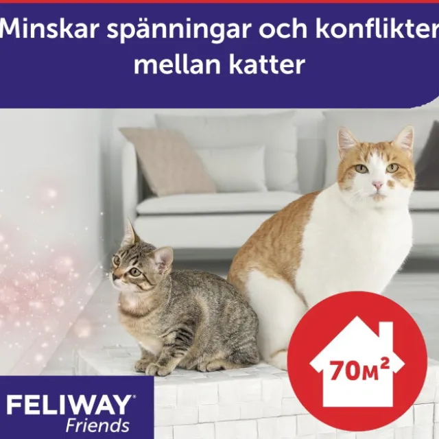 Feliway Friends Refill 48 ml