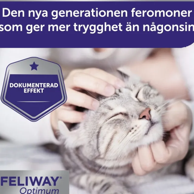 Feliway Optimum Refill 48 ml