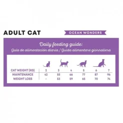 Harper&Bone Cat Adult Ocean Wonders