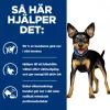 Hill's Prescription Diet Canine Metabolic Chicken & Vegetables 156 g