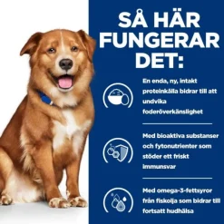 Hill's Prescription Diet Canine Derm Complete Skin Care & Food Sensitivities