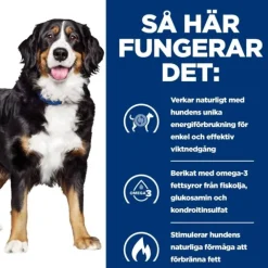 Hill's Prescription Diet Canine j/d Metabolic + Mobility Weight Chicken