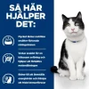 Hill's Prescription Diet Feline i/d Digestive Care Chicken 12x85 g