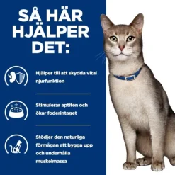Hill's Prescription Diet Feline k/d Kidney Care Beef 12x85 g