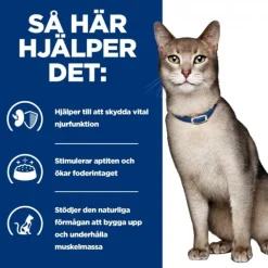 Hill's Prescription Diet Feline k/d Kidney Care Chicken 12x85 g